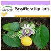 Sweet Granadilla - 20 Seeds - Passiflora Ligularis