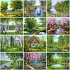 DIY Forest 5D Diamond Painting Full Round Drill Landscape Diamond Embroidery Cross Stitch Mosaic Kits Resin Wall Art Home Decor