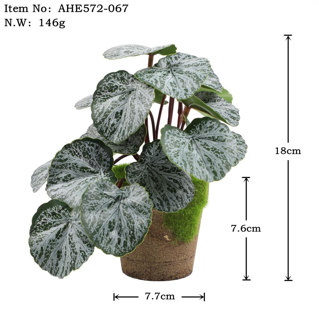 Искусственные зеленые растения для настольного украшения в помещении Эвкалипт Лист банана Спина черепахи Маргаритка Гибискус