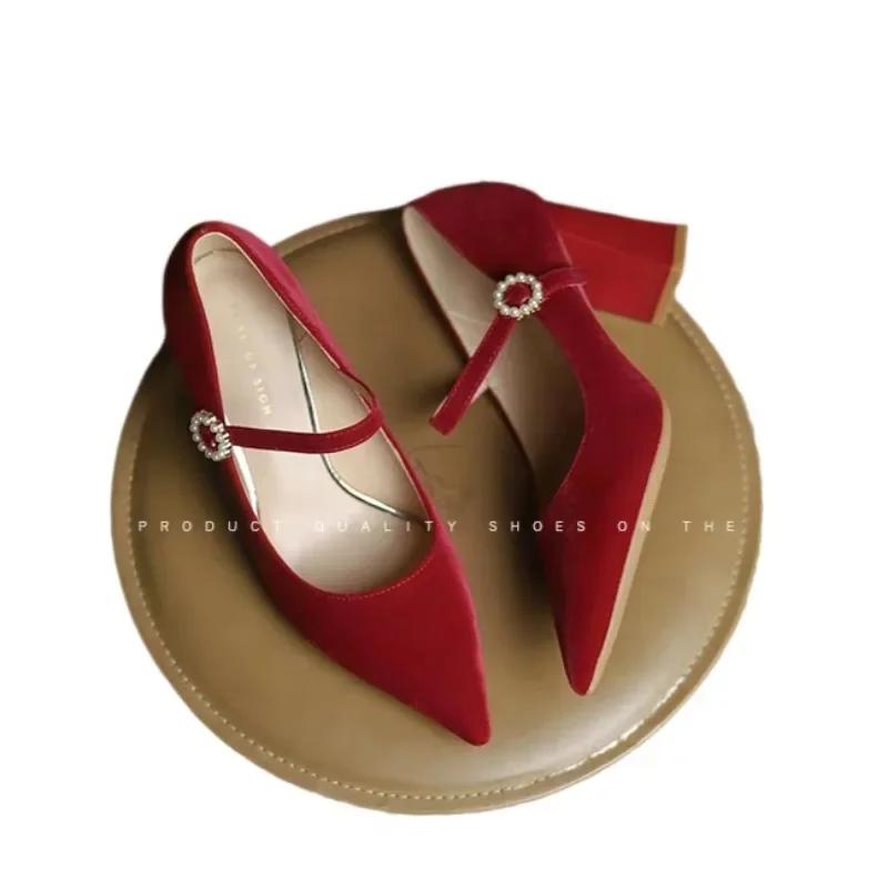 2025 Женская обувь Мэри Джейн Женские туфли на высоком каблуке Модные туфли-лодочки Женские туфли с острым носком и пряжкой на ремешке на толстом каблуке Женские
