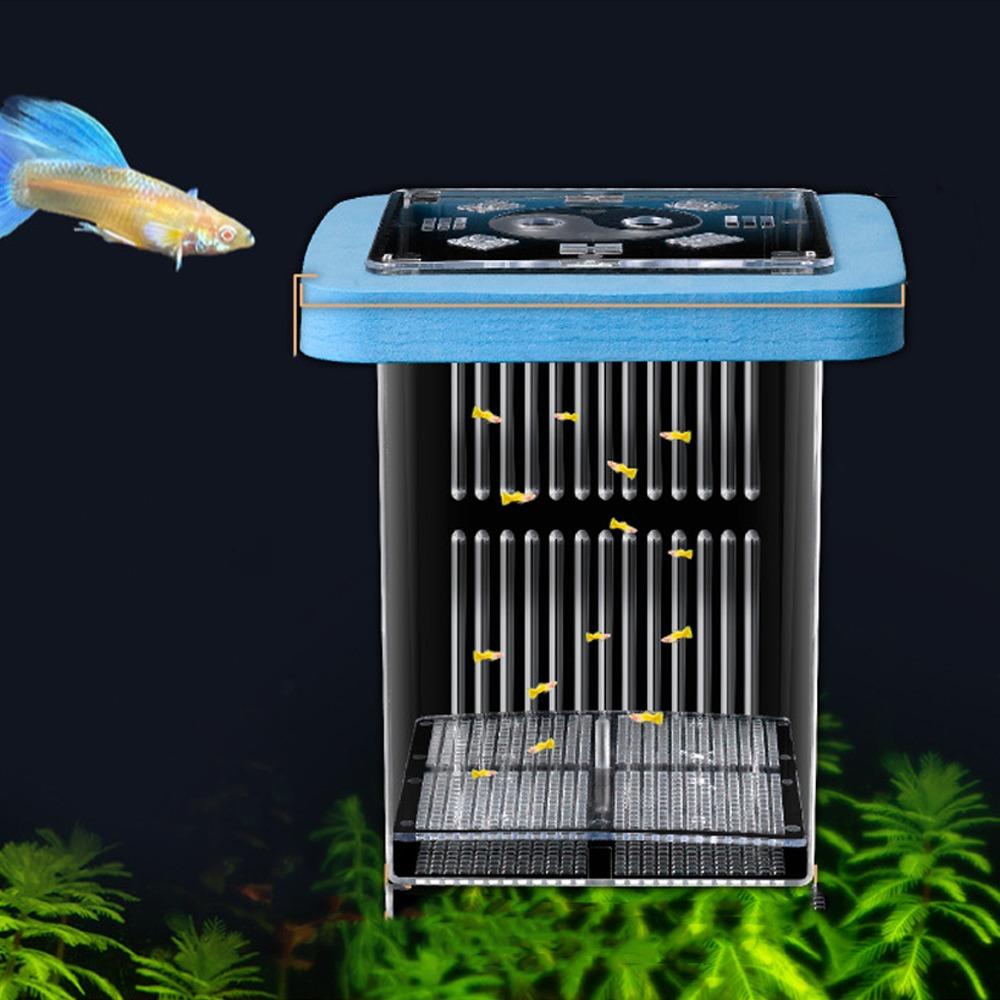 Permeable Floating Hatching Box Transparent Fish Tank Divider Mother Fish Incubator  For Small Fish