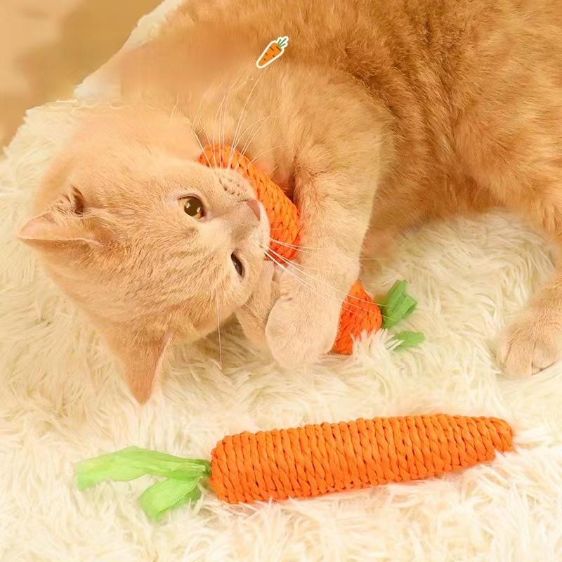 Морковка Игрушки для Кошек Игрушки для Питомцев Прочная Плетеная Бумажная Веревка Игрушки-Грызунки для Щенков, разработанные для Кошек, для Чистки Зубов, Товары для Питомцев, Аксессуары для Кошек