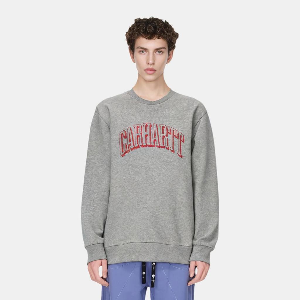 Carhartt WIP Свитшот с принтом граффити FW22 Мужской свитшот Серый I030939-19X-XX