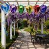 40cm Balloon Hot Air Balloon Spinner Rainbow Colors Striped Tie Dye Pinwheels