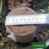 Biodegradable Non-Woven Seedling and Nutrient Cup with Selectable Size - Eco-Friendly Flower Pot