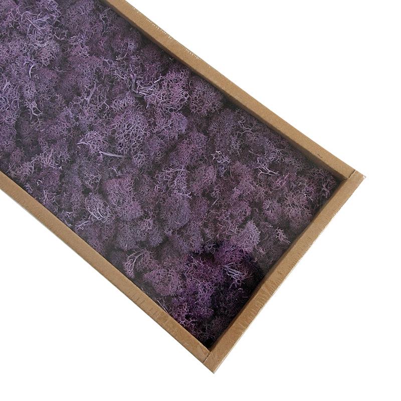 Preserved Flower & Moss Wall Decoration Kit: Flower Gift Box Materials