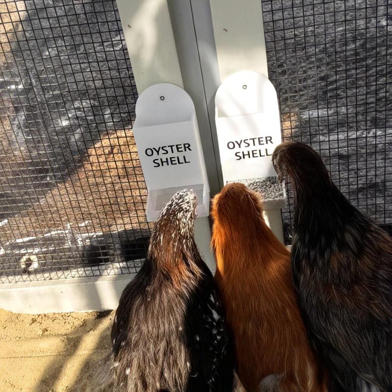 Кормушки для кур Без отходов Кормушка-корыто для кур Погодоустойчивое корыто для курятника Для фермы, заднего двора, улицы, помещения, ухода за домашним скотом