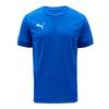 Puma Team Goal Match Day Jersey