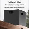 HuiDu DM-88 Portable High-Power Conference Speaker (CN version)