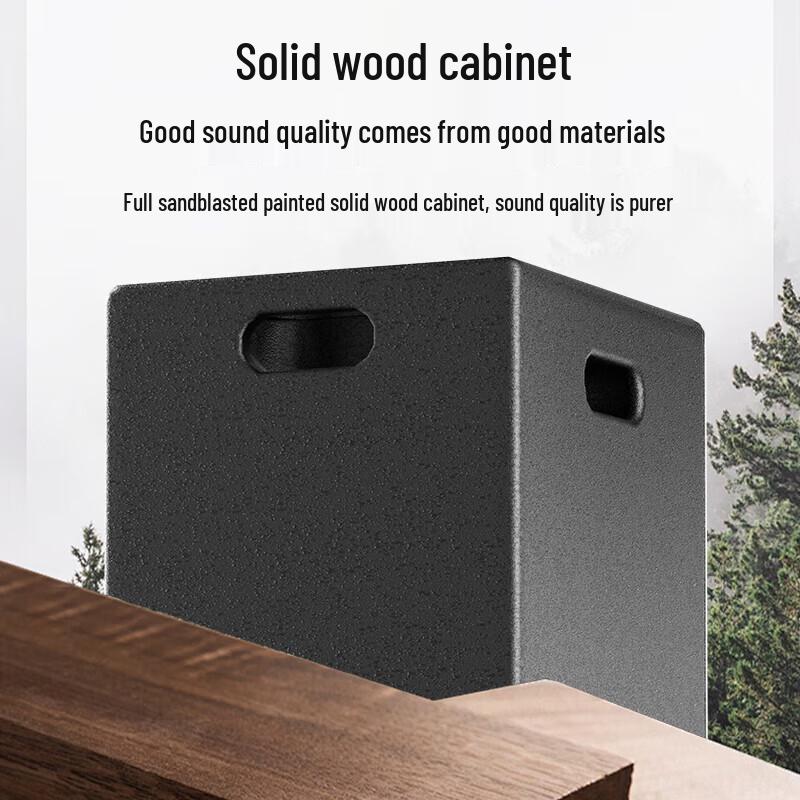 HuiDu DM-88 Portable High-Power Conference Speaker (CN version)