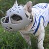 2025 Dog Collar Dog Muzzle for Short Snout Dogs Breathable Holes Prevent Biting Chewing Muzzle for Small/Large Dogs Mesh