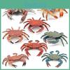 Crab Simulation Plastic Models Action Figures For Home Office Decoration Gift