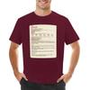 D&D Dad Stat Block T-shirt plus size tops tees summer top sweat shirts,