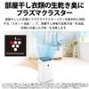 Sharp Осушитель и очиститель воздуха Осушитель воздуха 12 л Plasmacluster 7000 Standard 11 Tatami Очиститель воздуха 15 Tatami Белый / / CV-EF120-W