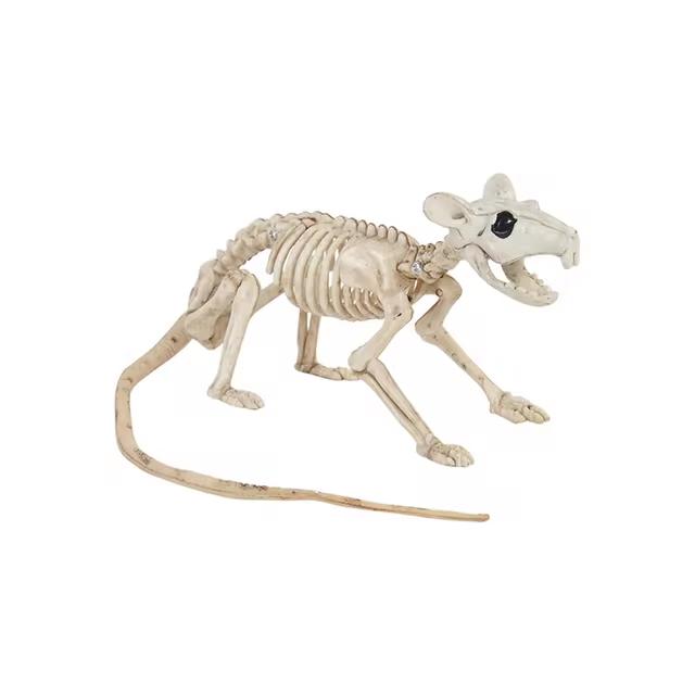 Украшение ужасов на Хэллоуин Мышь Летучая мышь Паук Скелет Украшение Пластиковый скелет животного Украшение места ужасов Скелет Украшение