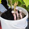Potted Water Sensor Sensor Worm Moisture Plant for Home Gardening Houseplants