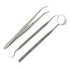 P Mart India Stainless Steel Dental Instruments Mouth Mirror Probe Plier Kit