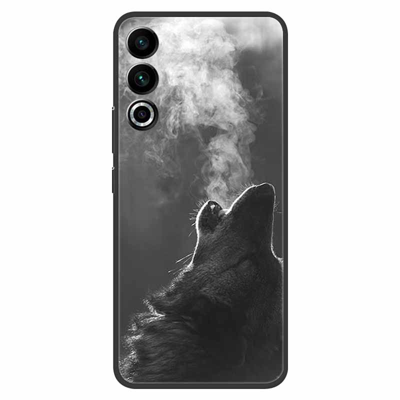 Для Meizu 20 Чехол 6.55" Capa Силиконовый Расписной Мягкий Черный Чехол для Meizu 20 2023 Чехлы Para Meizu20 Coque TPU Защитные Накладки
