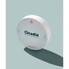 [2 шт] Cicadin Rescue King Подушка Sun 25 г