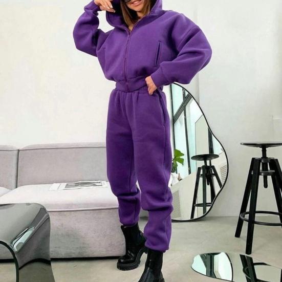 2 шт./компл. женское пальто и брюки комплект свободная молния эластичная талия с капюшоном сплошной цвет теплые флисовые эластичные манжеты