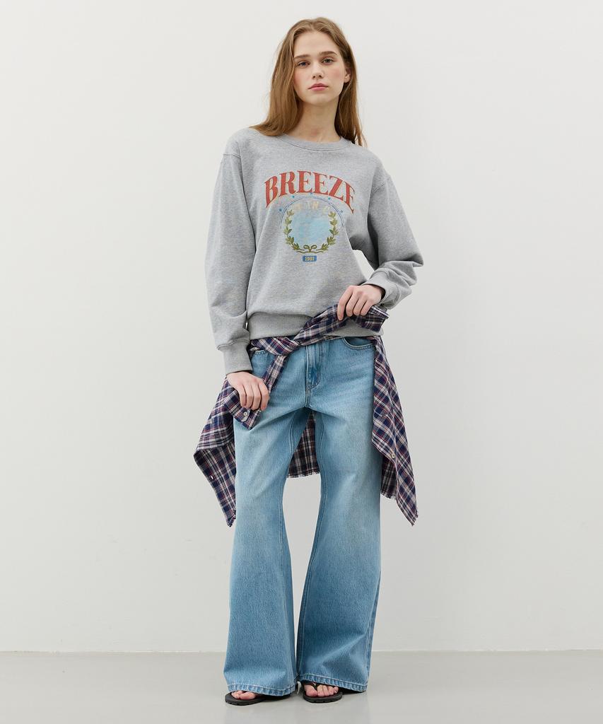 CITYBREEZE Худи Circle Breeze_Меланж Серый