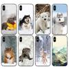 Черный чехол из ТПУ для iPhone 5 5s SE 2020 6 6s 7 8 plus x 10 чехол для iPhone XR XS 11 pro MAX чехол кошка собака медведь олень снежная сцена