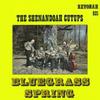 Виниловая пластинка SHENANDOAH CUT UPS Bluegrass Spring RS921 REVONAH 1976 США КантриФолк Б/у