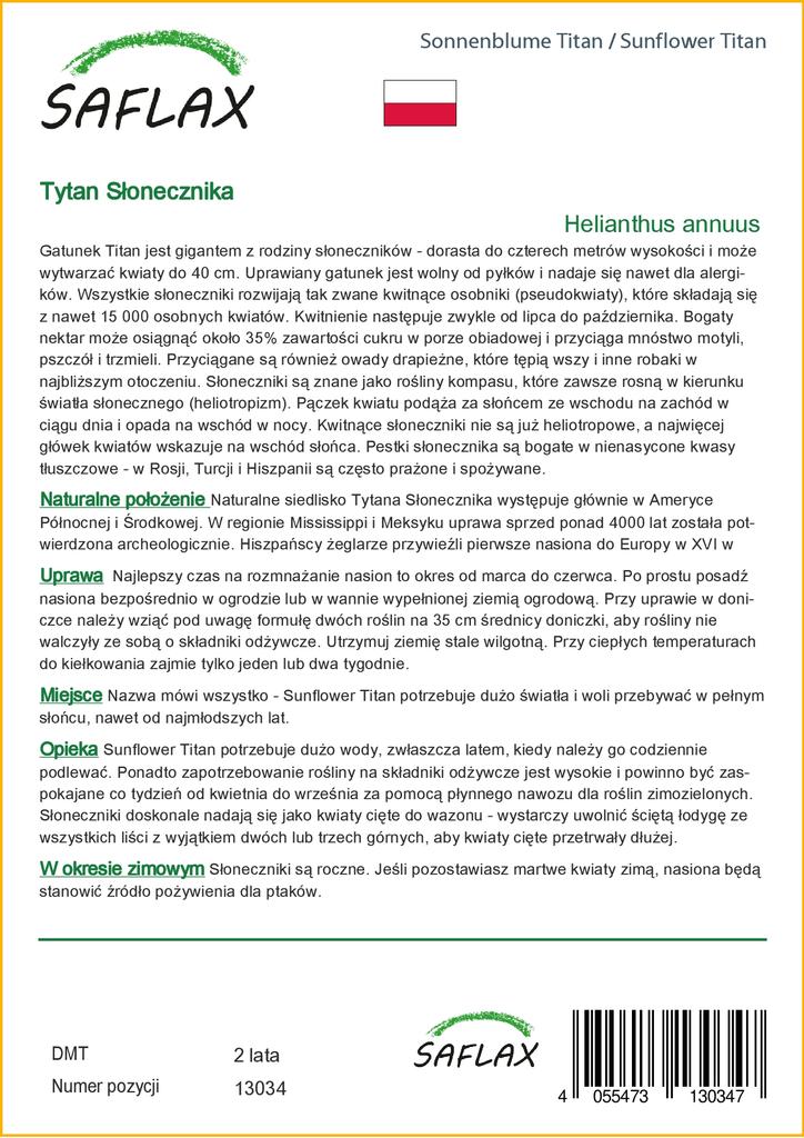 SAFLAX Подсолнечник Титан - 20 семян - Helianthus annuus