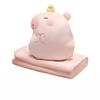 3 in 1 Multifunctional Casual Style Capybara with Fleece Blanket Hand Warmer Pink Capibara Bird Star Caps Bed Cushion for Boy