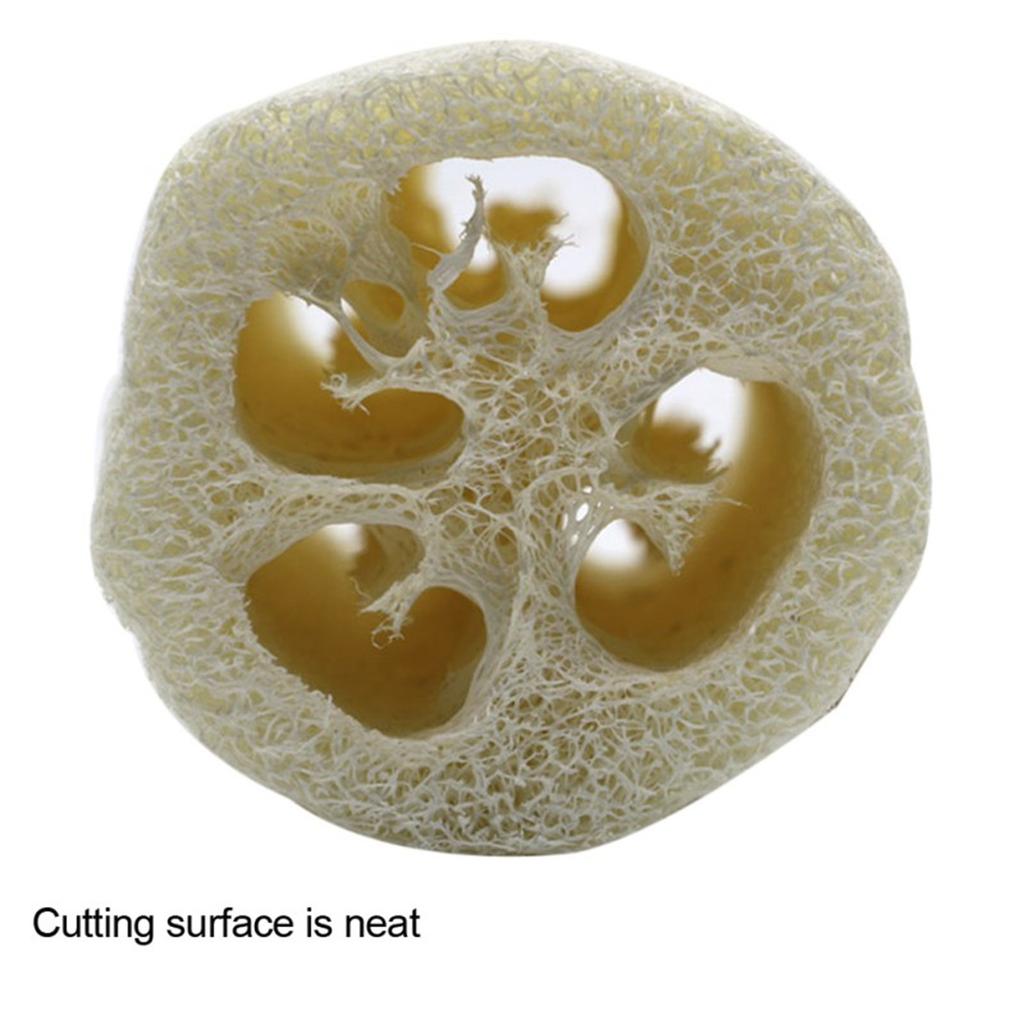 Loofah Sponge Large Exfoliating Shower Premium Natural EcoFriendly Egyptian Shower Loofah Sponge