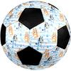 Bluey Theme Size 5 Soccer Ball, Suitable for Both Indoor and Outdoor Matches, a Gift Suitable for Everyone.