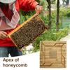 Bee Hive Escape Board Wooden Square Bee Escape Board Beehive Inner Cover Ventilated Escape Board for Standard Beehives Bee Safety