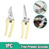 Pruner Scissor Hand Tools Bonsai for Gardening Stainless Steel Pruning Shear Branch Tool Shear Gardening Grass Tree Pruning Tool