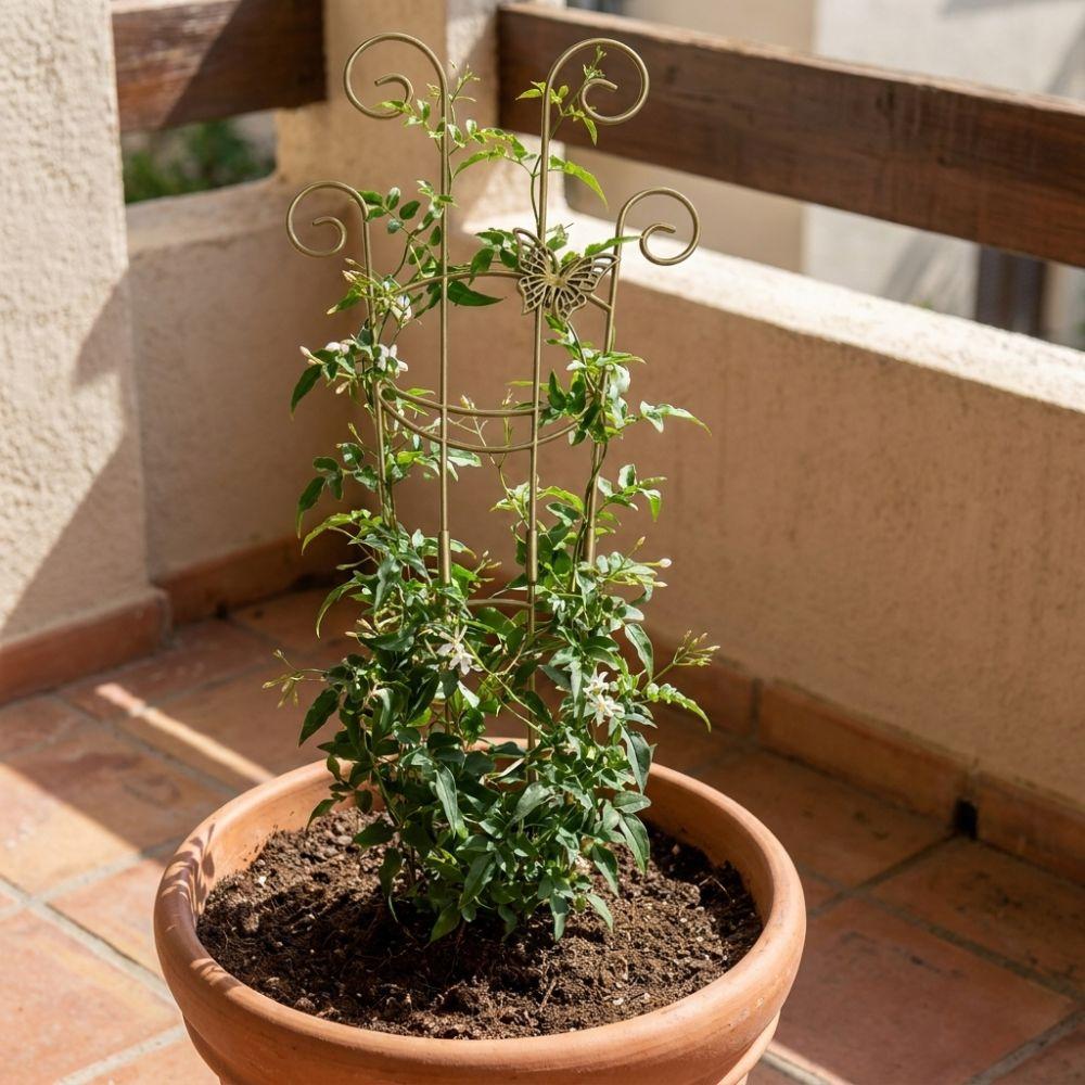 Butterfly Shaped Flower Pot Bracket Strong Load Bearing Vine Climbing Rack Greenhouse Use