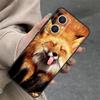 Милый лис Осень Чехол Для OPPO Reno 4Z 5Z 8T 10 11 Pro 11F 7 8 5 6 Lite OPPO Find X6 X5 Pro X2 X3 Neo Обложка