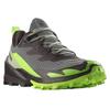 SALOMON Cross Over 2 Goretex ботинки трекинговые