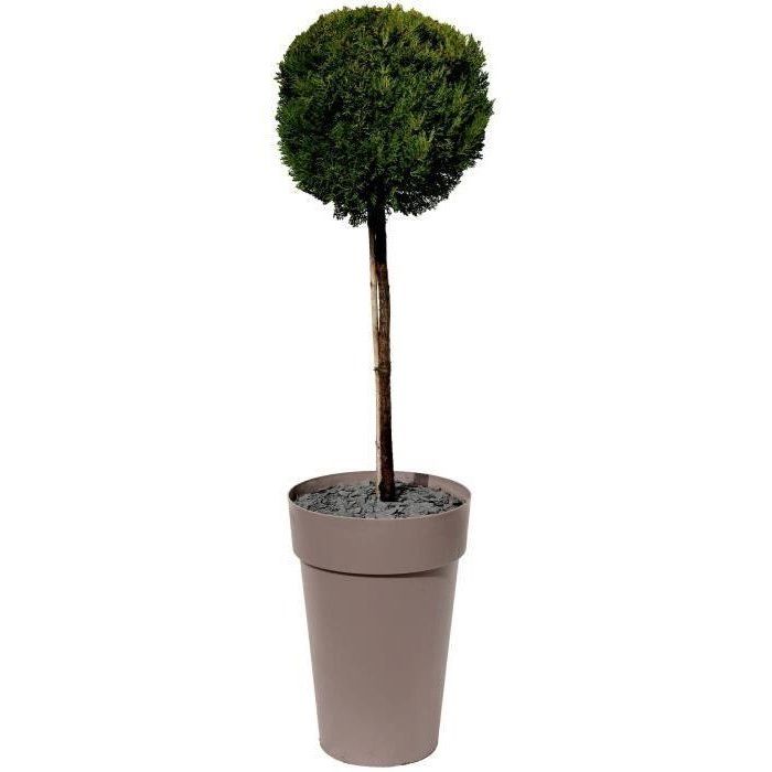 Pot de fleurs - TOSCANE - Plastique - Taupe - Rond haut - Ø46xH65cm - 67L - EDA