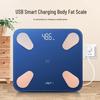 Xiangshan Smart Body Fat Scale F2R