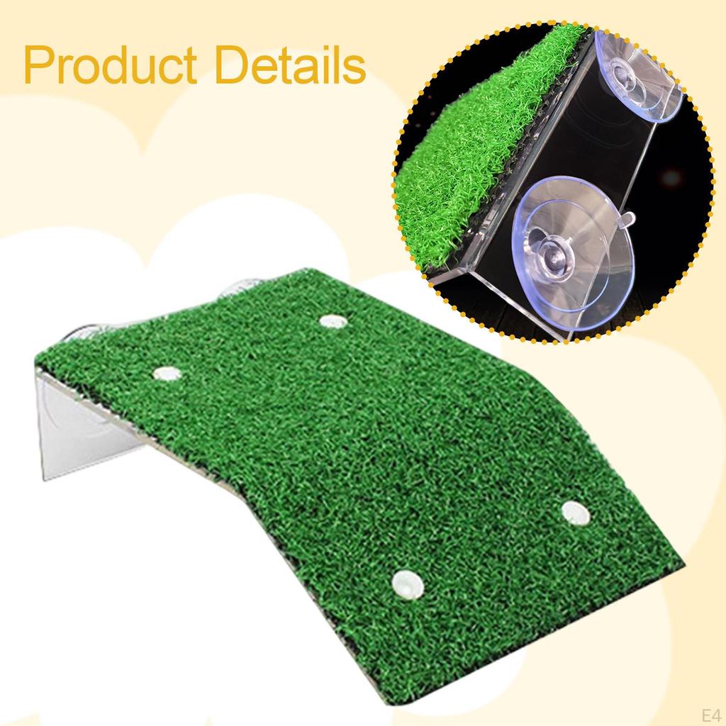 Turtle Basking Platform Accessories Aquarium Feeding Resting Decorative Multi Functional Supplies