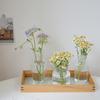Hydroponic Nordic Creative Container Plant Bottle Glass Vases Flower Pot Table Vase