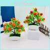Oranges Tree Fruit Potted Plant For Office Desk And Photography Background