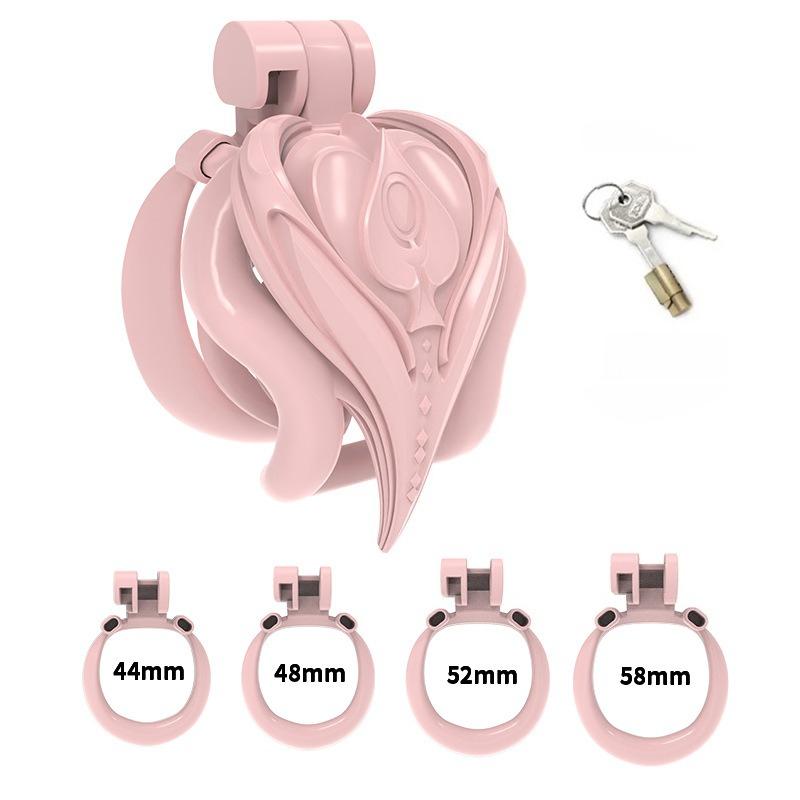 Male Chastity Device Birdcage Lock with 4 Sizes Rings Chastity Cage for Men Sissy Adult Sex Toys Cock Cage Erotic Urethral Lock