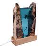 Лампа из смолы Divers Turtle с USB-кабелем и кнопкой переключения LED Ocean Lamp для любителей океана, украшение