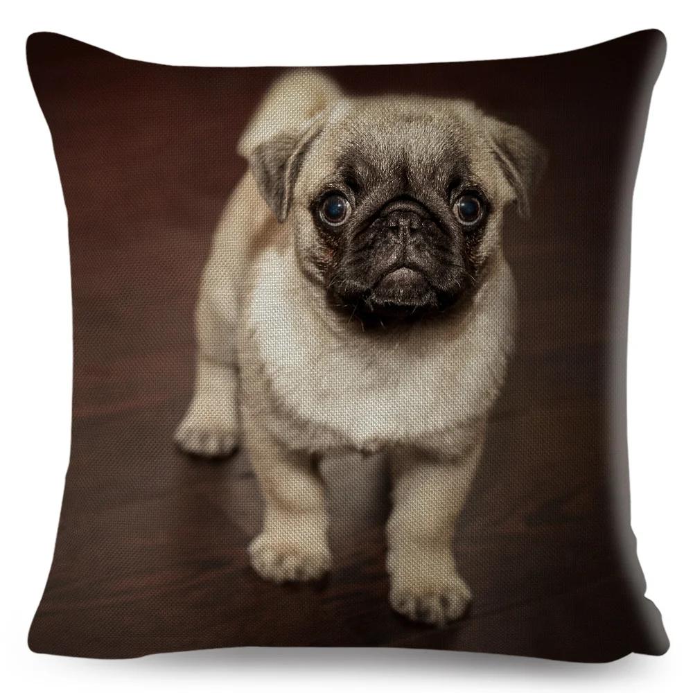 Both Sided Pug Dog Print Cushion Cover Decoration Pet Animal Pillow Case for Sofa Home Car Linen Pillowcase 45x45cm