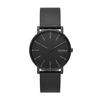 Watch Signatur SKW6902 [Skagen]