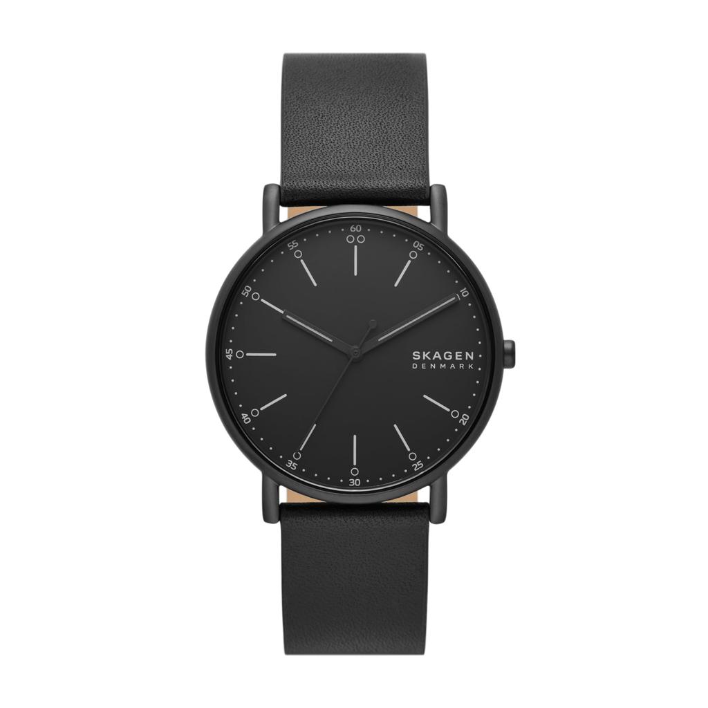 Watch Signatur SKW6902 [Skagen]