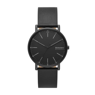 Часы Signatur SKW6902 [Скаген]