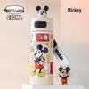 Disney Kids 316 Stainless Steel Insulated Water Bottle