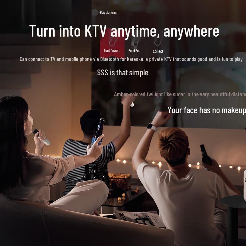 Newman DP97 All-in-One KTV Microphone Speaker