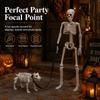 Halloween Skull Dog Decor Set White